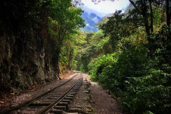 Day 5 - Train track from Santa Teresa To Machu Picchu