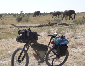 Priority 600x bikepacking with elephants
