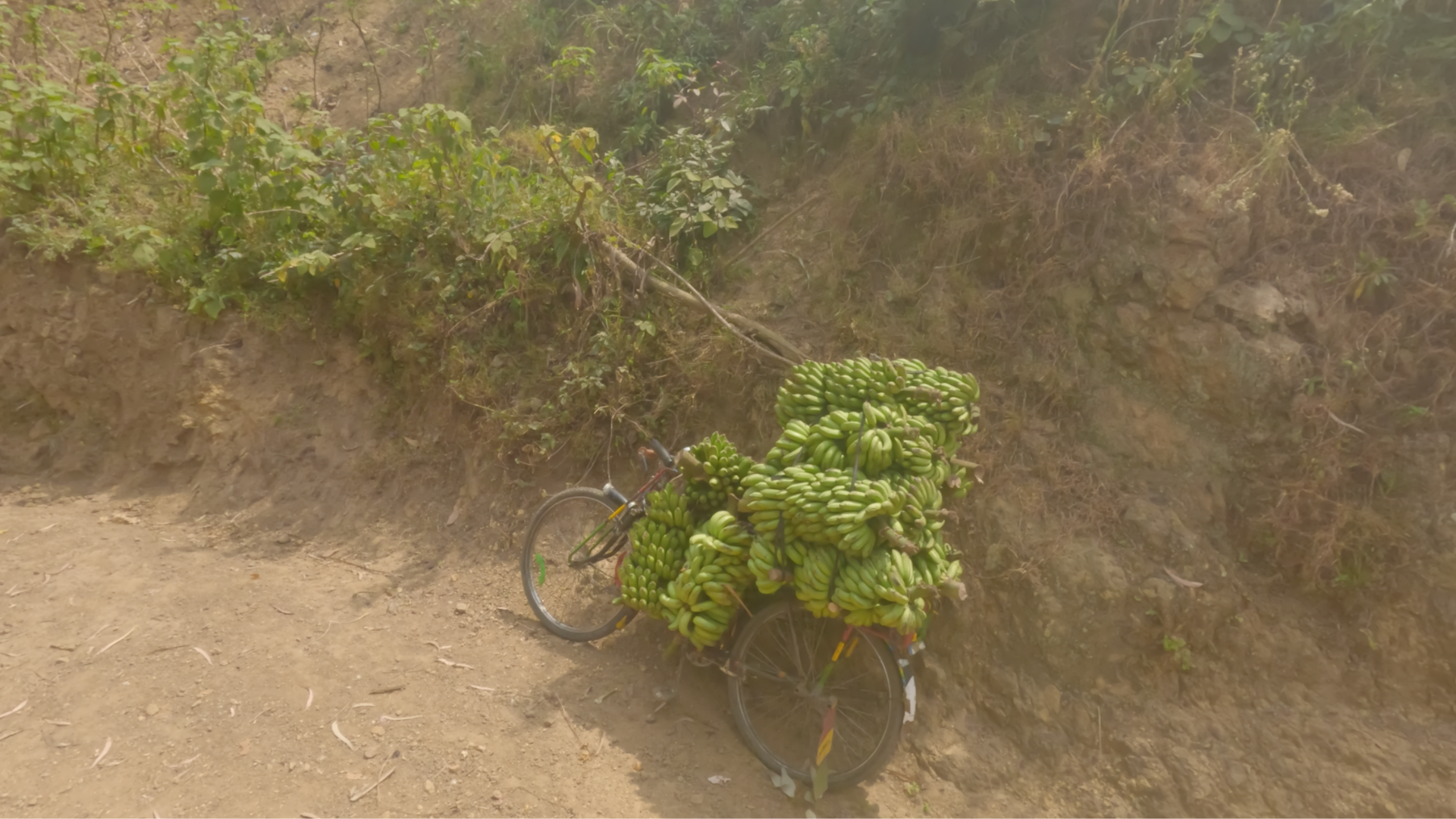 bananas on bicycle rwanda